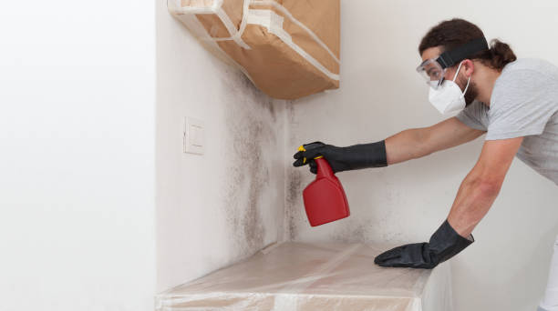 Professional Mold Testing technician working in Bayport, NY